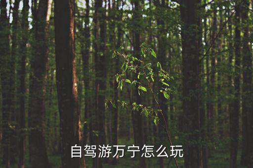 萬寧旅游攻略，萬寧市的旅游資源如何