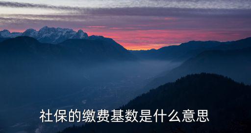 社保的繳費基數(shù)是什么意思