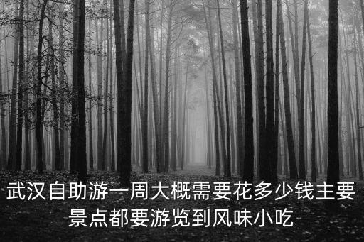 武漢自助游一周大概需要花多少錢主要景點都要游覽到風味小吃