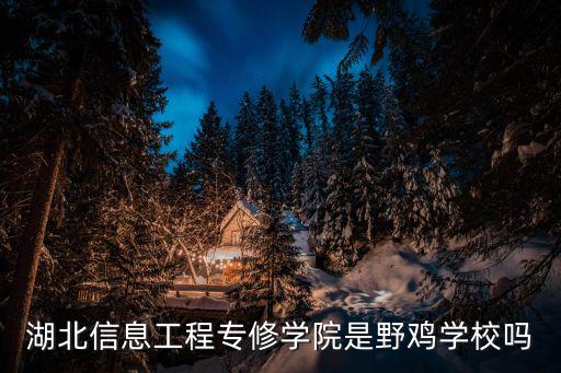 湖北信息工程專修學(xué)院是野雞學(xué)校嗎