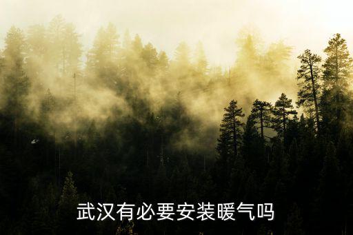 武漢有必要安裝暖氣嗎