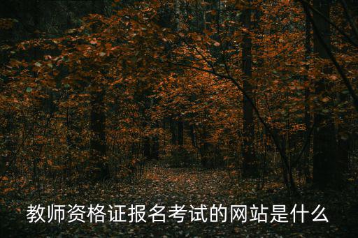 教師資格證考試官網(wǎng)，關(guān)于教師資格證的考試