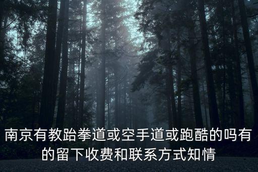 南京空手道館，南京鼓樓附近有沒有學空手道而且比較好的地方