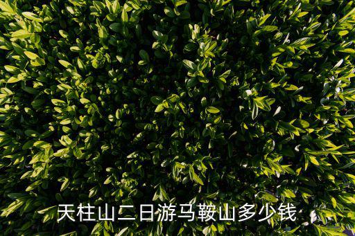 天柱山二日游馬鞍山多少錢
