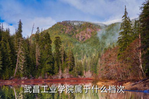 武昌工業學院屬于什么檔次