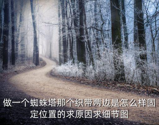 做一個(gè)蜘蛛塔那個(gè)織帶兩邊是怎么樣固定位置的求原因求細(xì)節(jié)圖