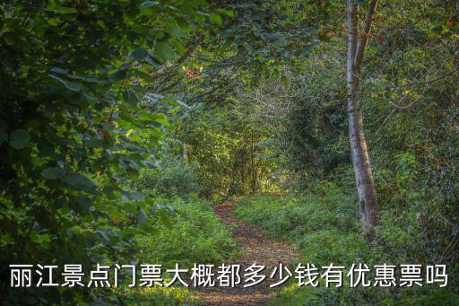 麗江景點門票大概都多少錢有優(yōu)惠票嗎