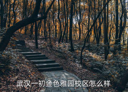 武漢一初金色雅園校區(qū)怎么樣