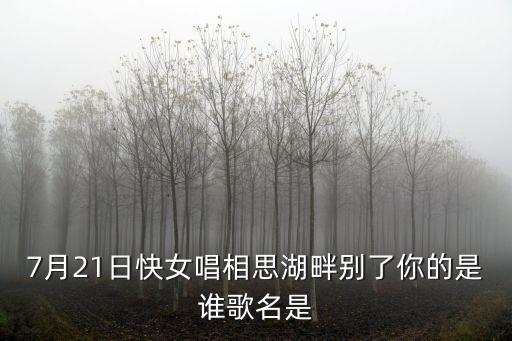 相思湖畔，西鄉塘的相思湖畔在哪