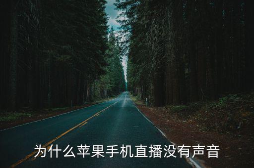 為什么蘋果手機直播沒有聲音