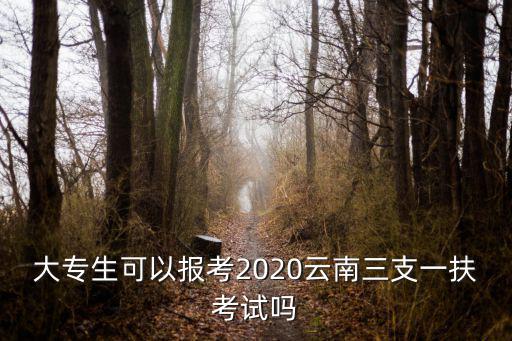 大專生可以報考2020云南三支一扶考試嗎