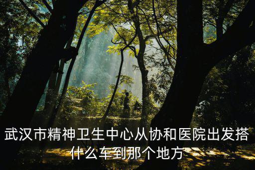武漢市精神衛生中心從協和醫院出發搭什么車到那個地方