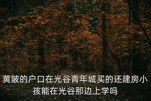 黃陂的戶口在光谷青年城買的還建房小孩能在光谷那邊上學嗎