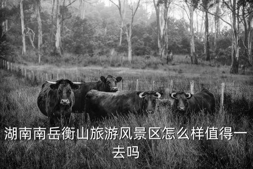 湖南南岳衡山旅游風景區怎么樣值得一去嗎