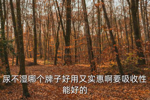 尿不濕哪個(gè)牌子好用又實(shí)惠啊要吸收性能好的