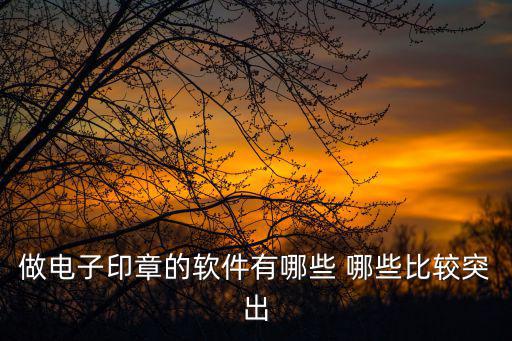 電子印章系統(tǒng)，做電子印章的軟件有哪些 哪些比較突出