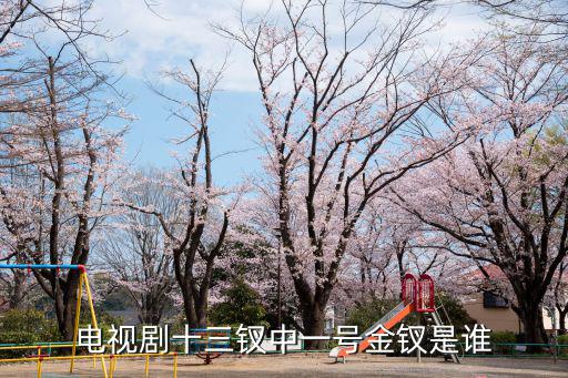 電視劇十三釵中一號金釵是誰