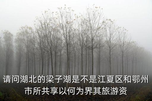 請問湖北的梁子湖是不是江夏區和鄂州市所共享以何為界其旅游資
