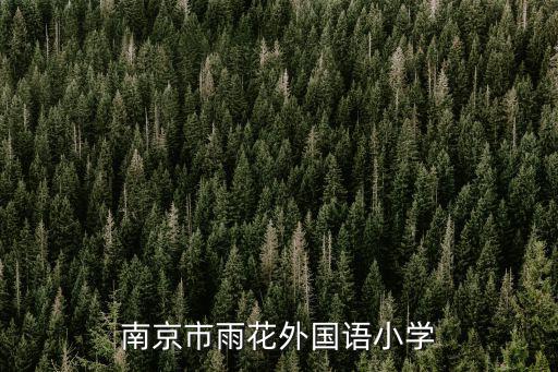 南京市雨花外國(guó)語(yǔ)小學(xué)