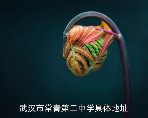 武漢市常青第二中學具體地址