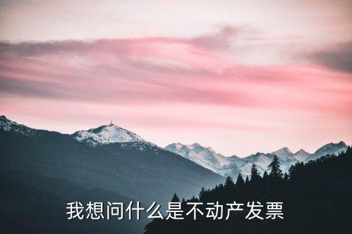 我想問什么是不動產發票