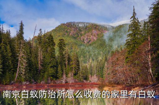 南京白蟻防治中心，南京白蟻防治費用多少白蟻防治中心怎么走