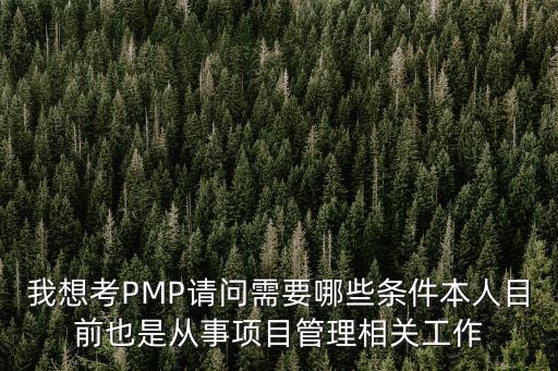 我想考PMP請問需要哪些條件本人目前也是從事項目管理相關工作