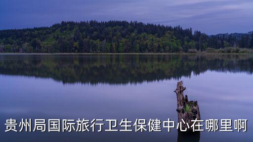 貴州局國際旅行衛(wèi)生保健中心在哪里啊
