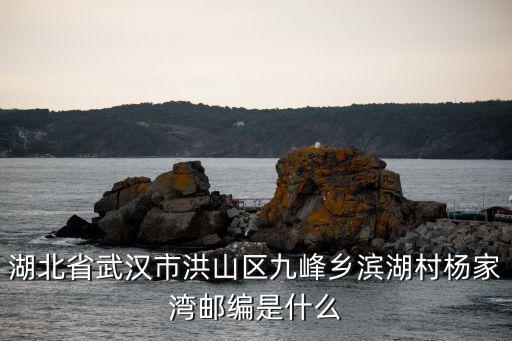 湖北省武漢市洪山區九峰鄉濱湖村楊家灣郵編是什么