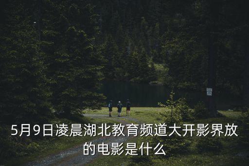 5月9日凌晨湖北教育頻道大開影界放的電影是什么