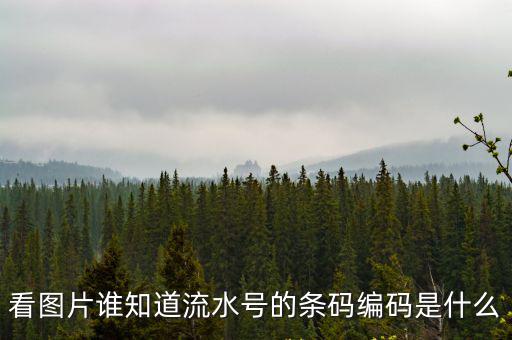 看圖片誰知道流水號的條碼編碼是什么