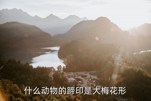 什么動(dòng)物的蹄印是大梅花形
