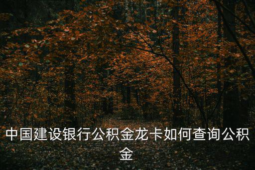 中國建設銀行公積金龍卡如何查詢公積金