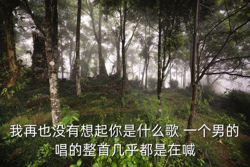 我再也沒有想起你是什么歌 一個男的唱的整首幾乎都是在喊