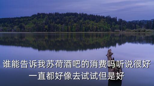 蘇荷酒吧，誰(shuí)能告訴我蘇荷酒吧的消費(fèi)嗎聽說(shuō)很好一直都好像去試試但是好