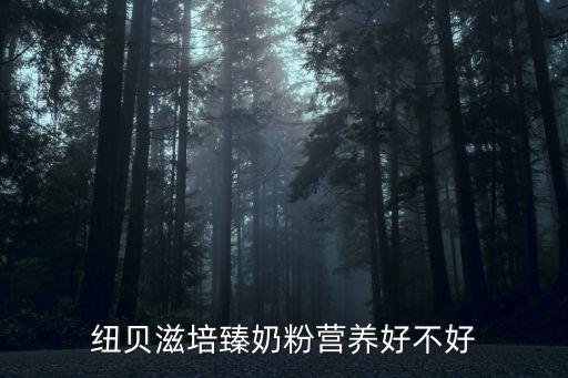 紐貝滋奶粉怎么樣，紐貝滋培臻奶粉營養(yǎng)好不好