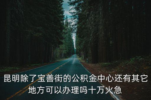 昆明除了寶善街的公積金中心還有其它地方可以辦理嗎十萬火急