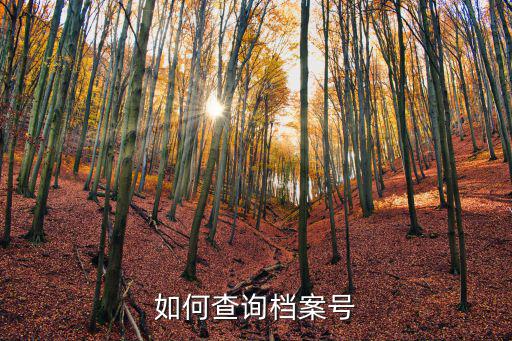 如何查詢檔案號