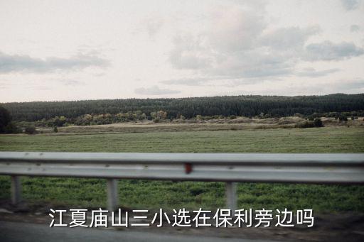 江夏廟山三小選在保利旁邊嗎