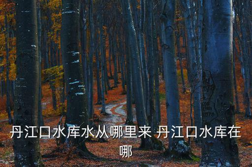 丹江口水庫水從哪里來 丹江口水庫在哪