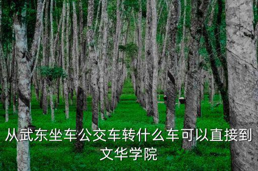 從武東坐車公交車轉什么車可以直接到文華學院