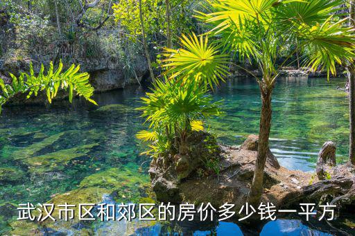 武漢市區和郊區的房價多少錢一平方