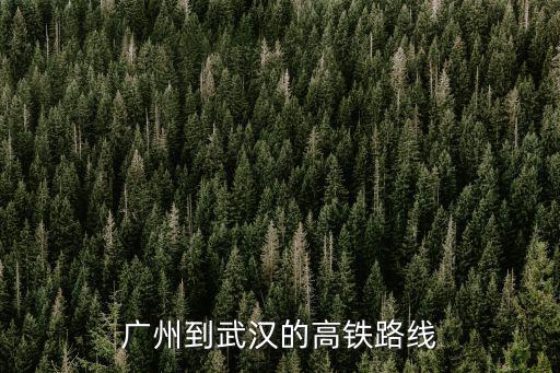廣州到武漢的高鐵路線