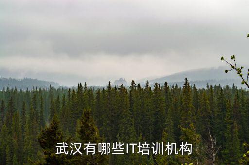 武漢有哪些IT培訓機構