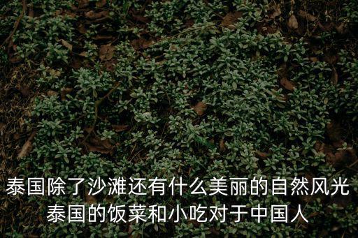 泰國除了沙灘還有什么美麗的自然風(fēng)光泰國的飯菜和小吃對于中國人