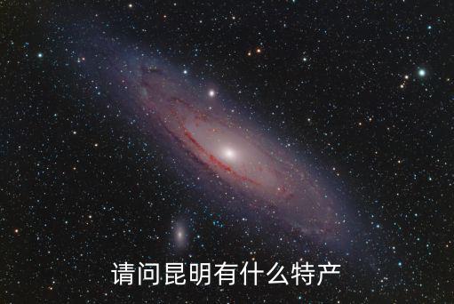 請問昆明有什么特產