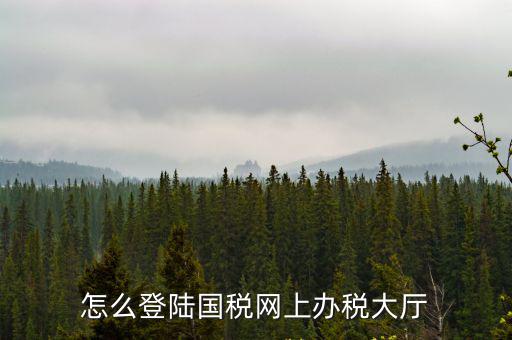 怎么登陸國稅網上辦稅大廳