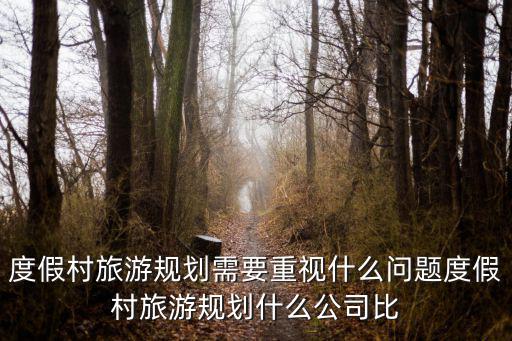度假村旅游規劃需要重視什么問題度假村旅游規劃什么公司比