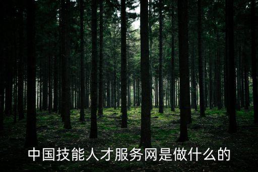 中國技能人才服務網是做什么的
