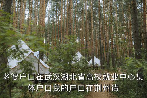老婆戶(hù)口在武漢湖北省高校就業(yè)中心集體戶(hù)口我的戶(hù)口在荊州請(qǐng)